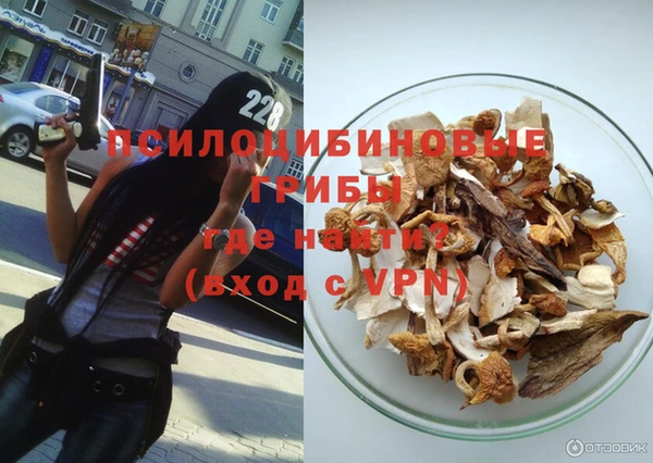 стаф Алексин